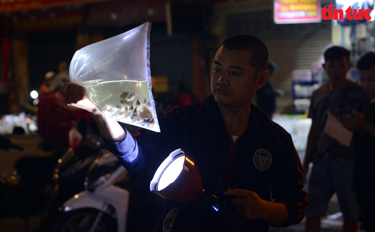 Chợ có một không hai, khách soi đèn mua cá lúc 4 giờ sáng- Ảnh 10.