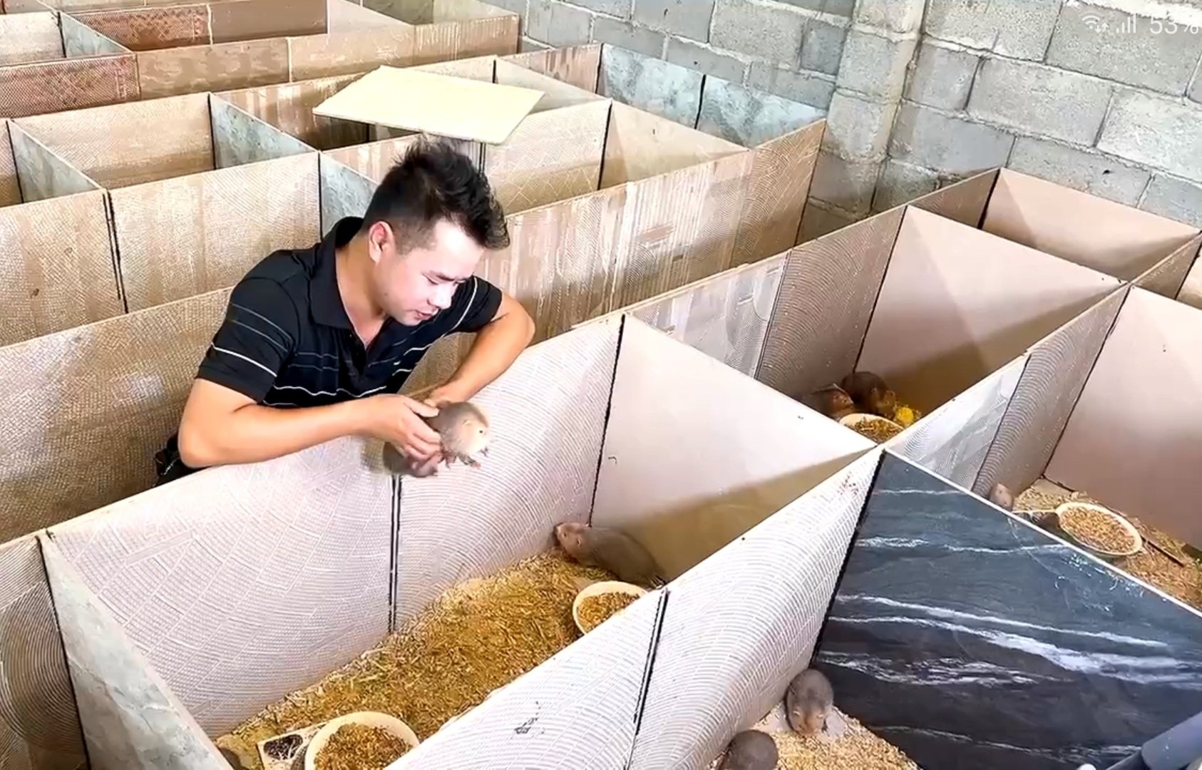 Nuôi con đặc sản là con gì mà một anh nông dân Đắk Lắk thu tiền tỷ, cả làng phục lăn?- Ảnh 4.