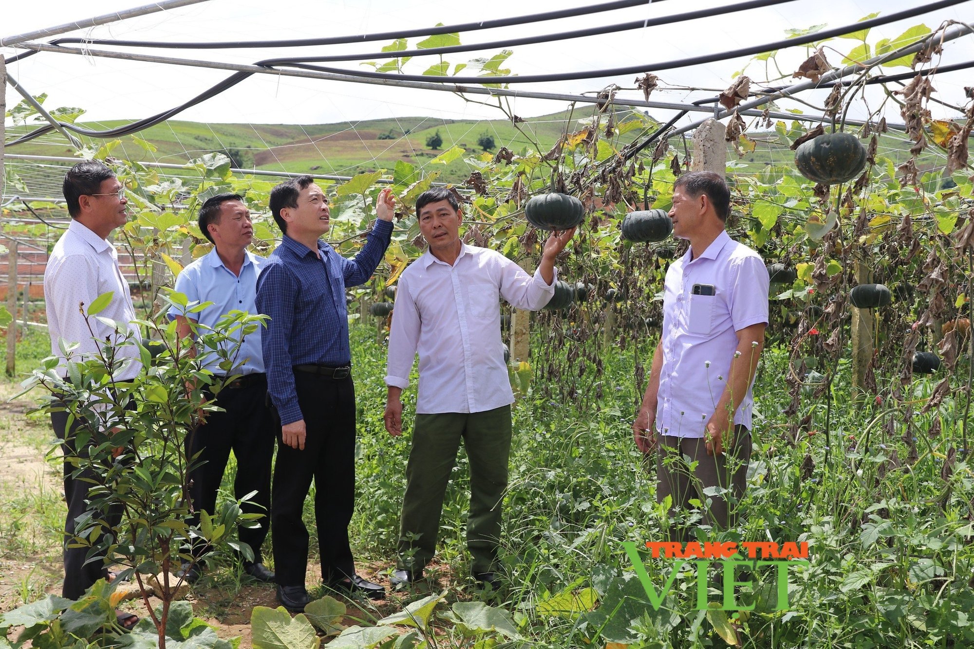 Đánh thức cao nguyên Si Pa Phìn: Thay đổi hoàn toàn nhận định về vùng đất (Bài 1)- Ảnh 3. Đánh thức cao nguyên Si Pa Phìn: Thay đổi hoàn toàn nhận định về vùng đất (Bài 1)- Ảnh 3.