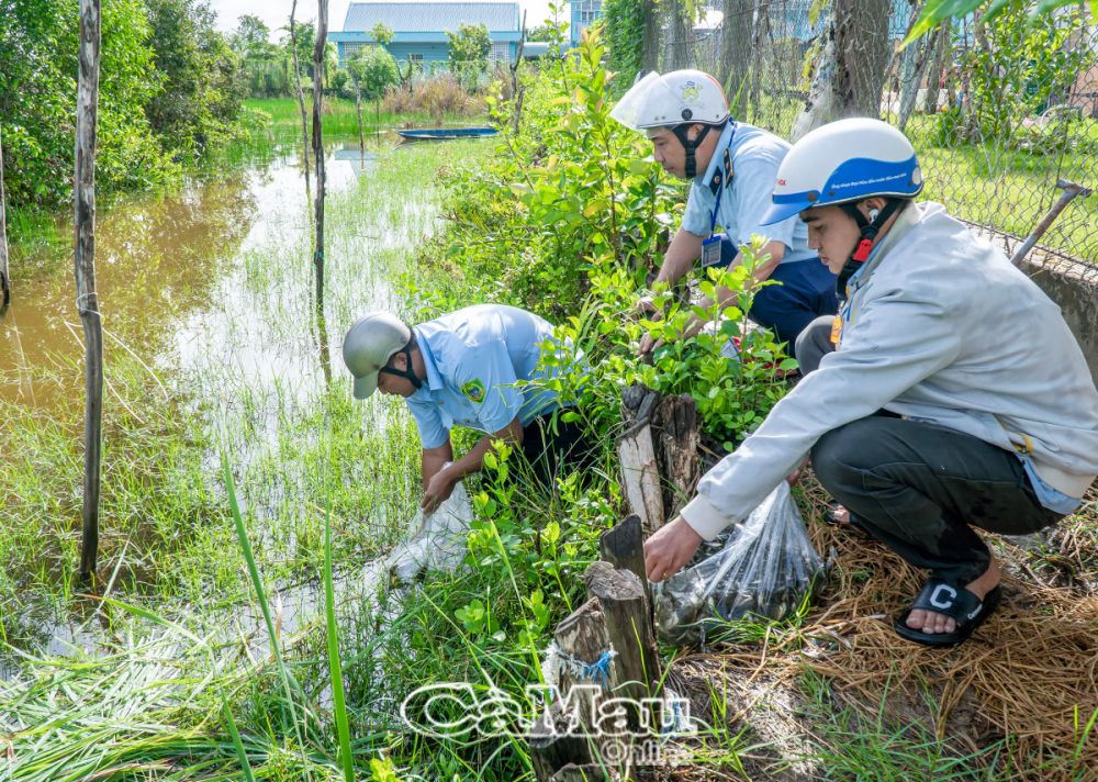 Bắt được tiểu thương lén bán cá non, ngành chức năng Cà Mau thu giữ, thả ngay về kênh rạch- Ảnh 1.