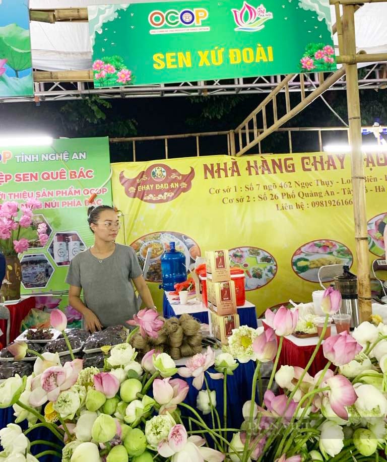 Ấn tượng với bông sen "khổng lồ" tại Lễ hội hoa sen Hà Nội 2024- Ảnh 8.
