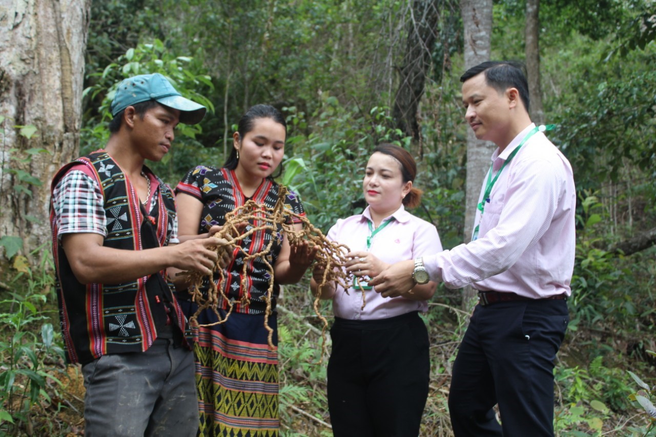 Tổ tiết kiệm và vay vốn - “Cánh tay nối dài” đưa vốn đến với hộ nghèo Tây Giang (Quảng Nam)- Ảnh 2.