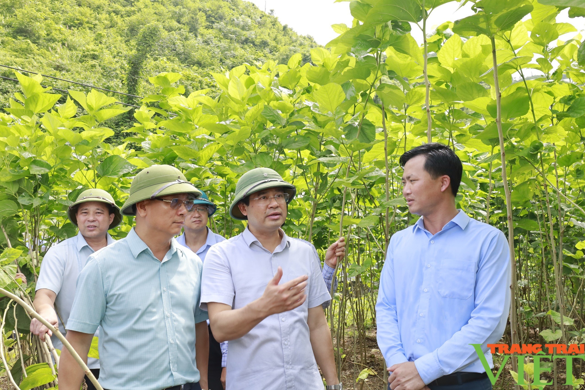 Chủ tịch UBND tỉnh Lào Cai Trịnh Xuân Trường khảo sát các dự án nông nghiệp tại huyện Bảo Thắng và Bảo Yên- Ảnh 4.