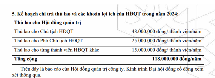 Vì sao lãnh đạo Nhựa Đông Á (DAG) từ chối nhận thù lao năm 2023?- Ảnh 1.