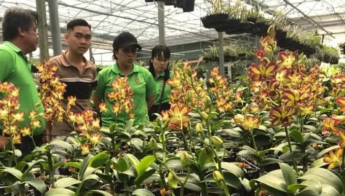 Công an Bình Thuận tuyên dương nông dân trong phong trào toàn dân bảo vệ an ninh Tổ quốc- Ảnh 3.