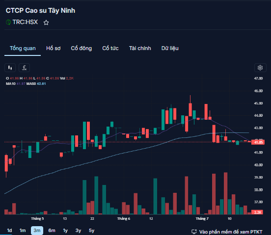 Cao su Tây Ninh (TRC) báo lãi quý II/2024 tăng 278%- Ảnh 2.