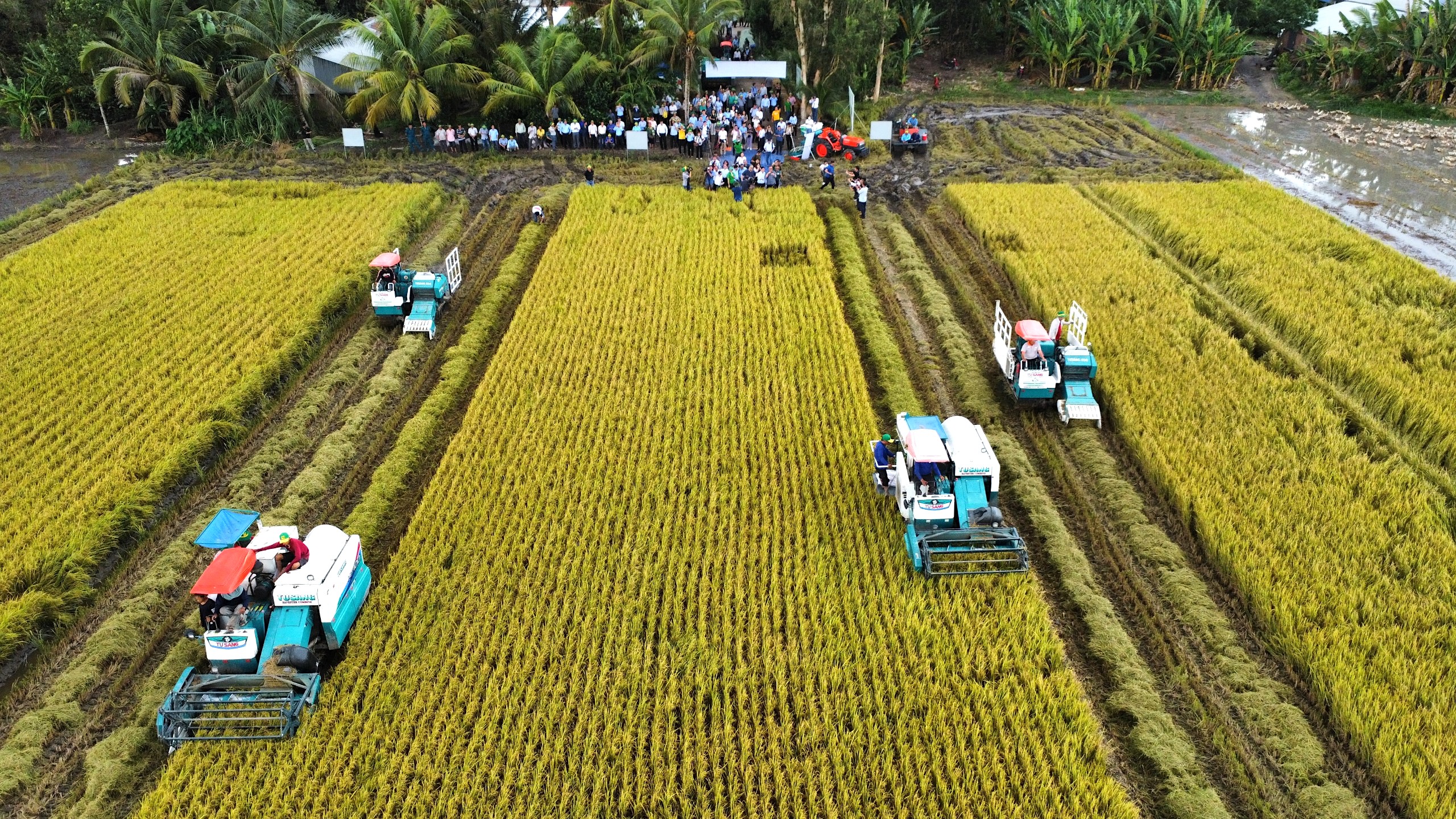 Sẽ thí điểm xếp hạng môi trường kinh doanh cấp tỉnh đối với kinh tế tập thể, hợp tác xã nông nghiệp trong năm 2024- Ảnh 3.