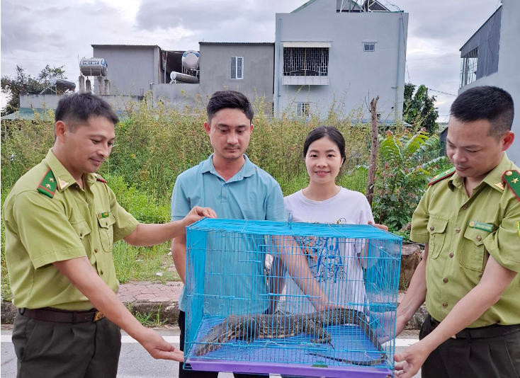 Lai Châu: Bàn giao cá thể kỳ đà hoa nặng 2,6kg thả về tự nhiên- Ảnh 2. Lai Châu: Bàn giao cá thể kỳ đà hoa nặng 2,6kg thả về tự nhiên- Ảnh 2.