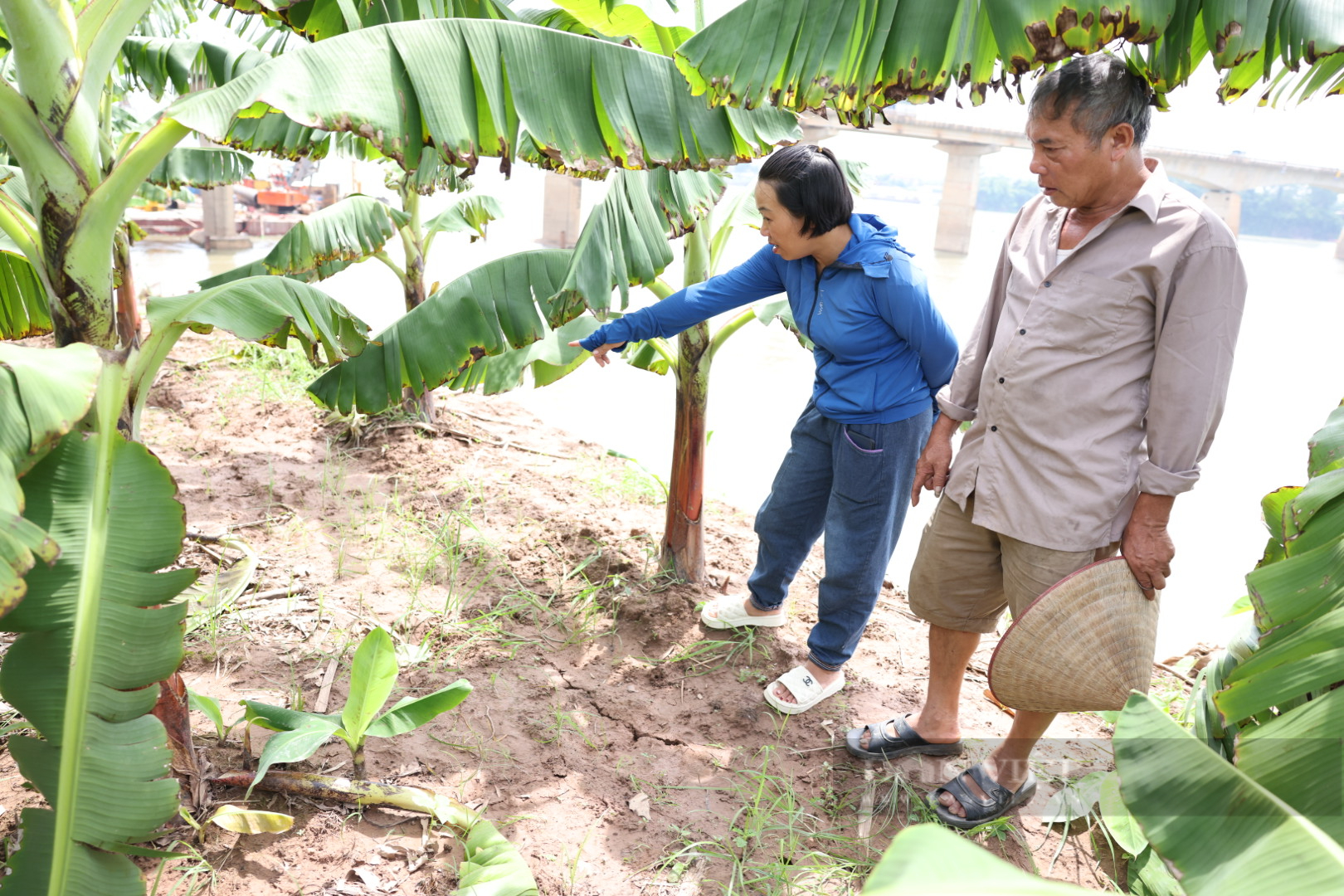 Phú Thọ chi ngay 14,5 tỷ đồng xử lý cấp bách sạt lở bờ sông Đà, yêu cầu 3 tháng phải xong- Ảnh 2.