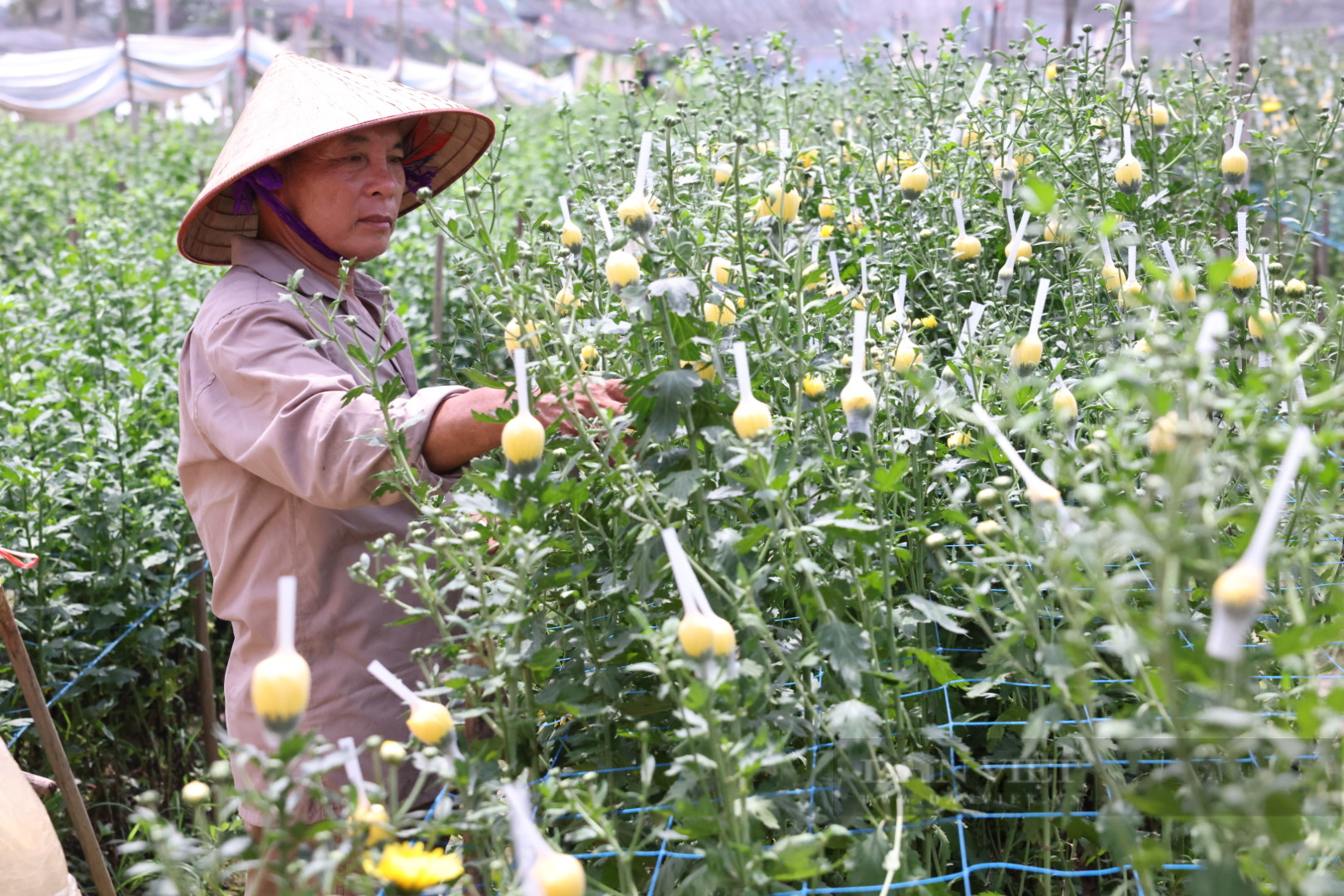 Phú Thọ chi ngay 14,5 tỷ đồng xử lý cấp bách sạt lở bờ sông Đà, yêu cầu 3 tháng phải xong- Ảnh 3.