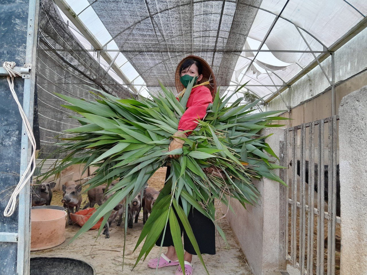 Vụ người dân chui rãnh thoát nước để qua cổng thủy điện: Phải tu sửa đường tránh đảm bảo chất lượng, an toàn- Ảnh 5.