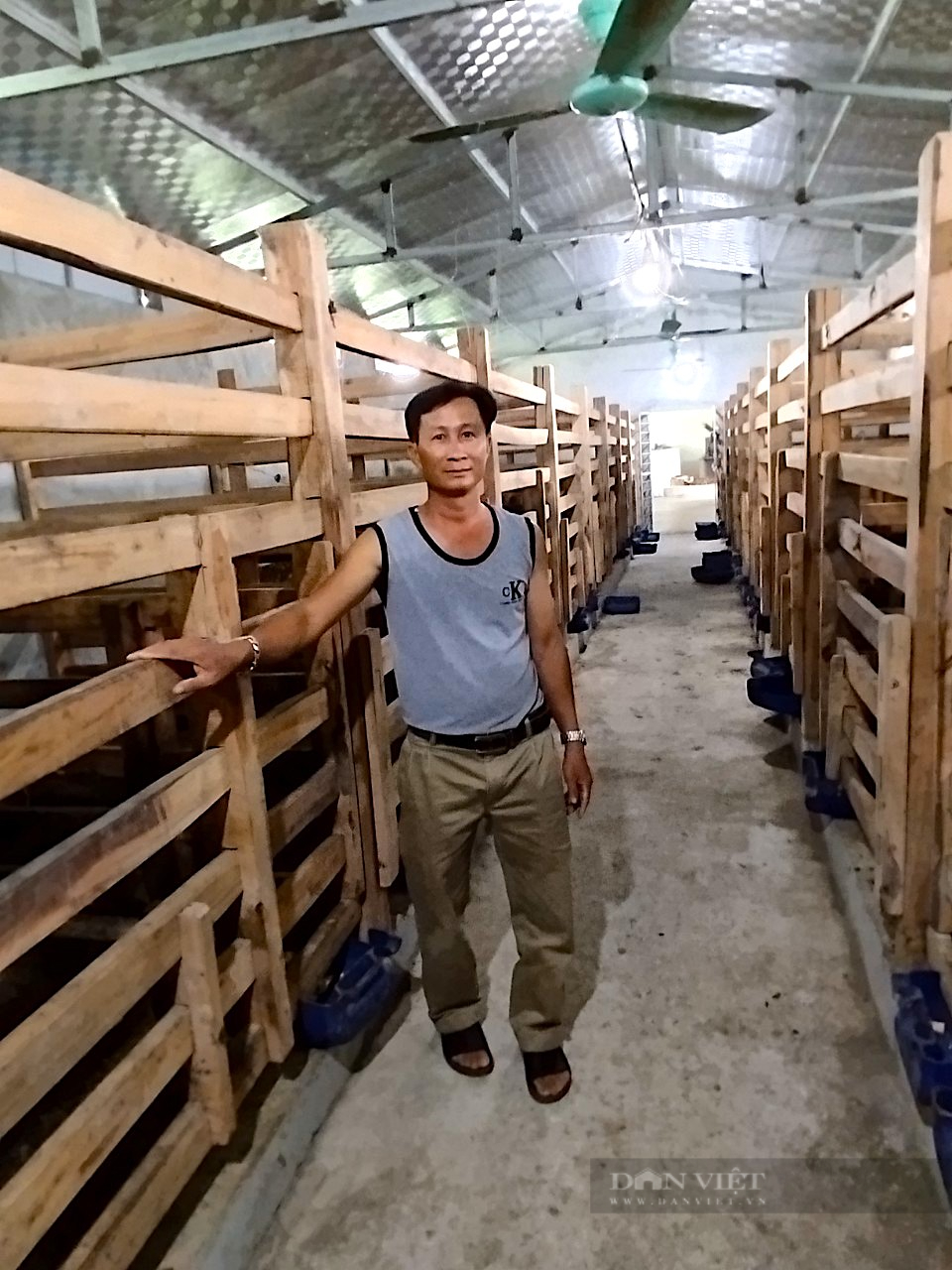 Anh nông dân Nghệ An “cưa sừng” lấy vàng, cả làng thán phục  - Ảnh 4.