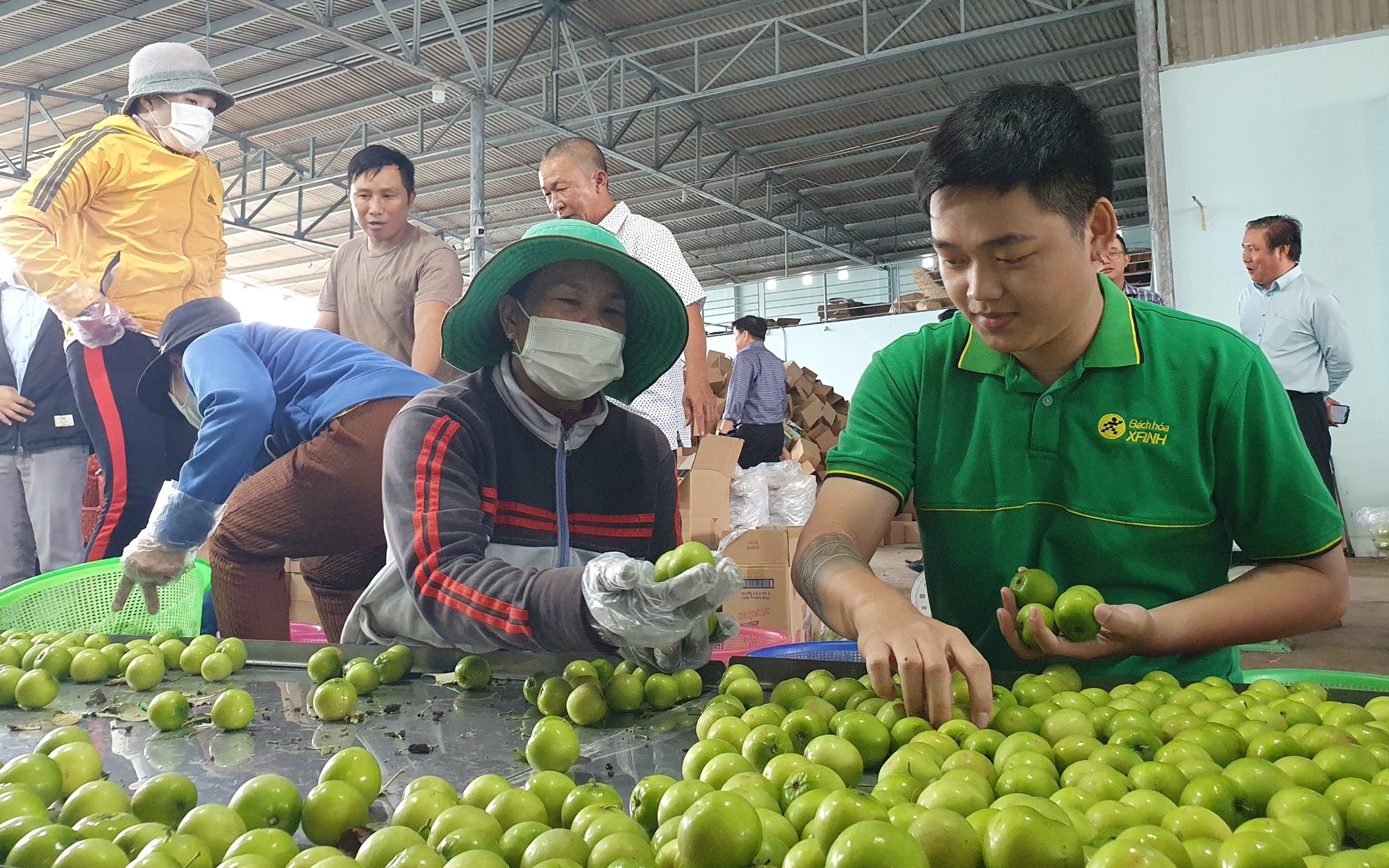 Mỗi cửa hàng Bách Hóa Xanh thu hơn 2 tỷ đồng trong tháng 11 - Ảnh 2.