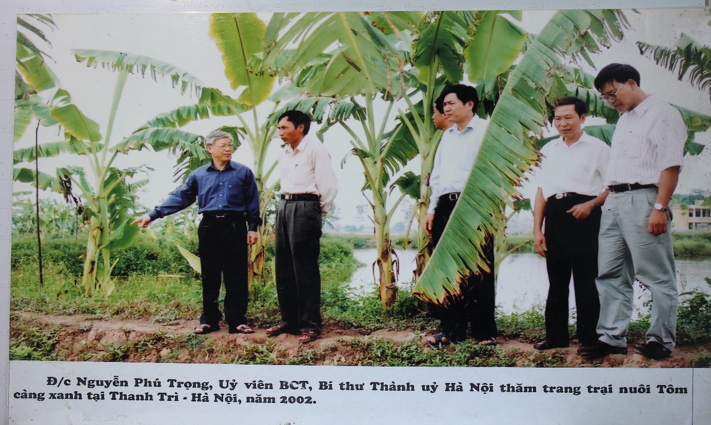 Hình ảnh Tổng Bí thư Nguyễn Phú Trọng với nông nghiệp, nông dân, nông thôn- Ảnh 19.