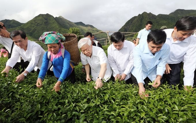 Hình ảnh Tổng Bí thư Nguyễn Phú Trọng với nông nghiệp, nông dân, nông thôn- Ảnh 15.