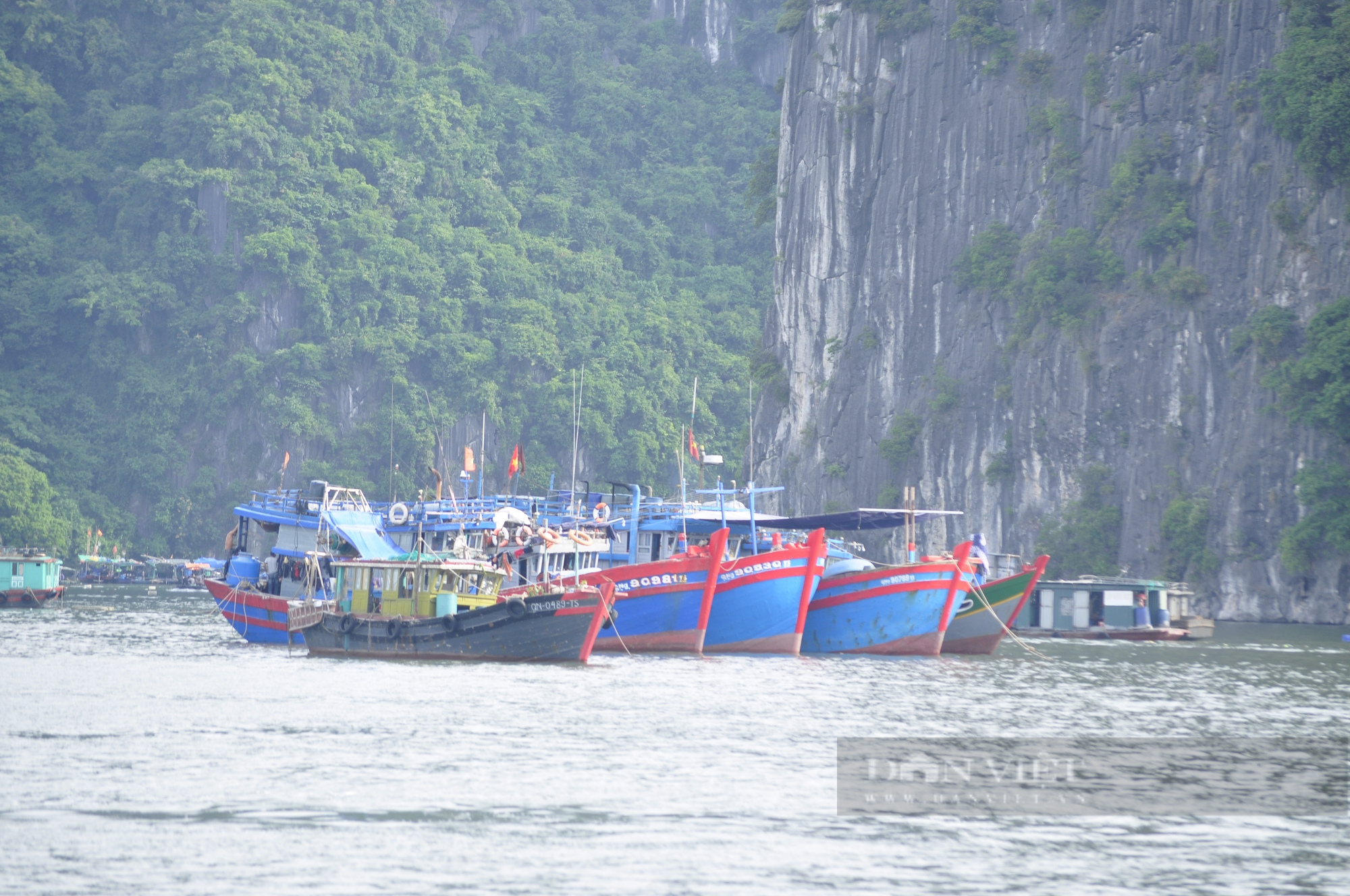 Bão số 2 tăng cấp, Quảng Ninh khẩn cấp cấm biển - Ảnh 1.