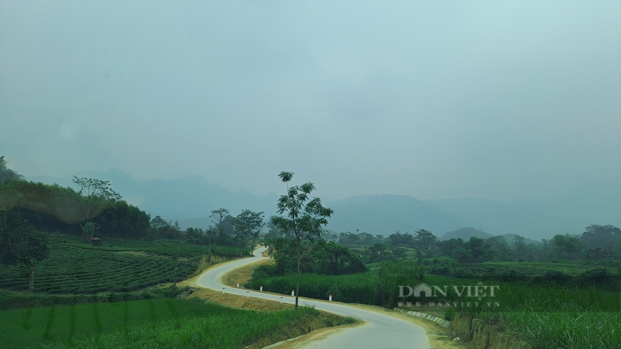 Giải ngân vốn đầu tư vùng đồng bào dân tộc thiểu số và miền núi ở Thái Nguyên đạt khoảng 50%- Ảnh 1.