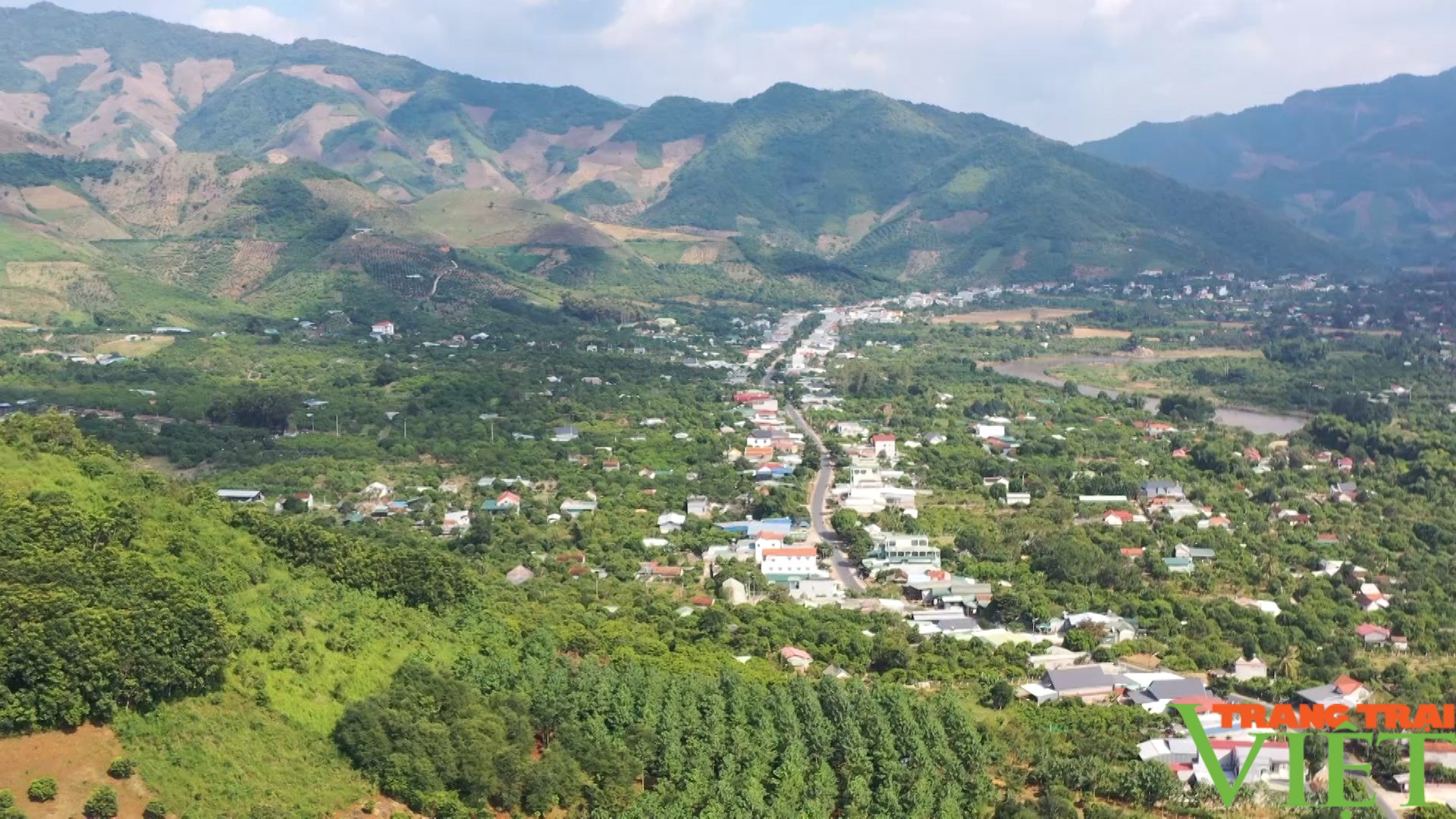 Nhãn T6 mang niềm vui cho nông dân miền biên viễn- Ảnh 1. Nhãn T6 mang niềm vui cho nông dân miền biên viễn- Ảnh 1.