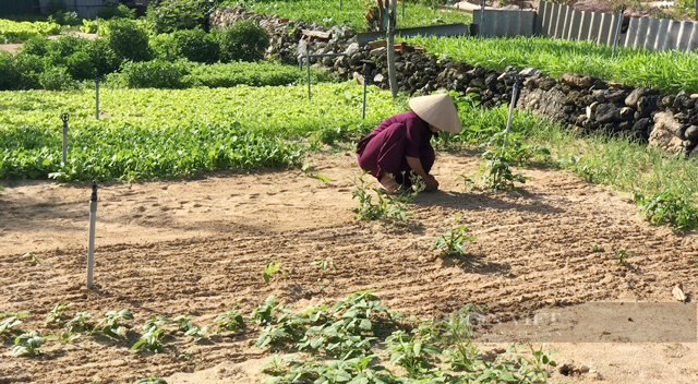 Nâng cấp mở rộng hồ chứa nước trên miệng núi lửa ngàn năm ở Quảng Ngãi “nhất tiễn hạ song điêu”- Ảnh 7.