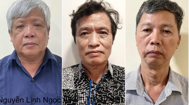 Vụ buôn lậu đất hiếm và Hệ sinh thái của Thái Dương Group- Ảnh 1.