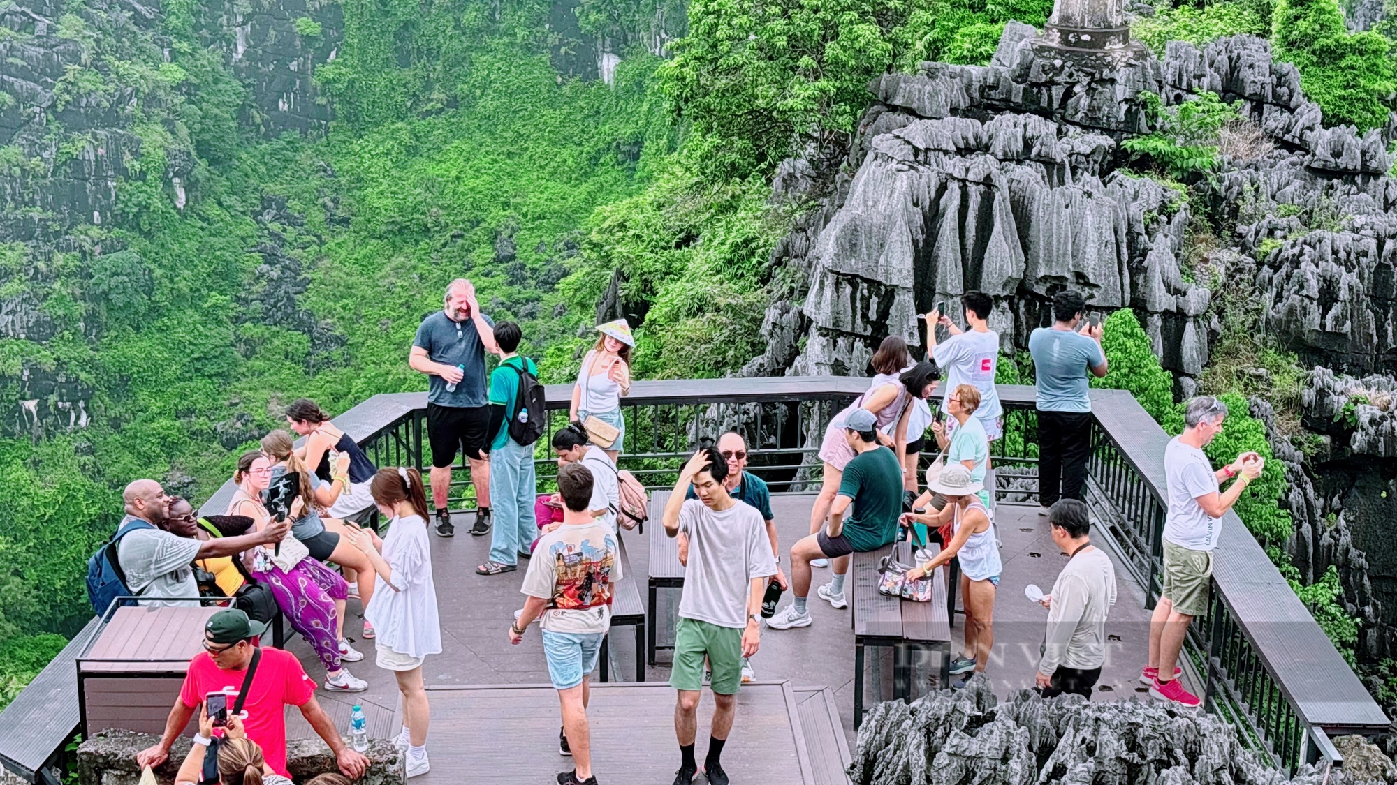 Lý do nhiều người chọn điểm đến Hang Múa- Ảnh 1.