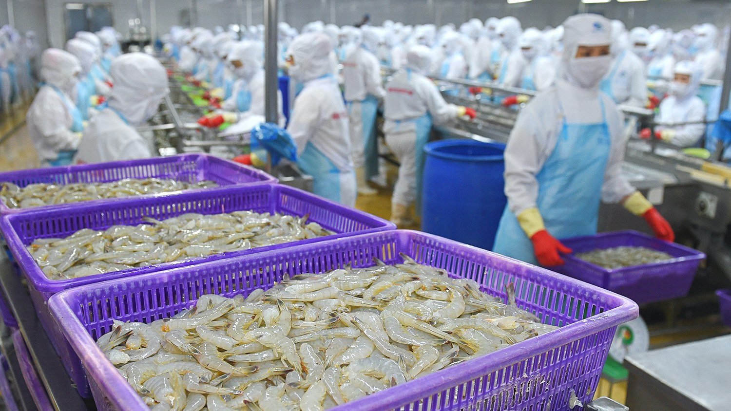 Vượt khó nửa đầu năm, các 'ông lớn' xuất khẩu tôm nỗ lực tăng tốc nửa cuối năm thế nào?- Ảnh 2.
