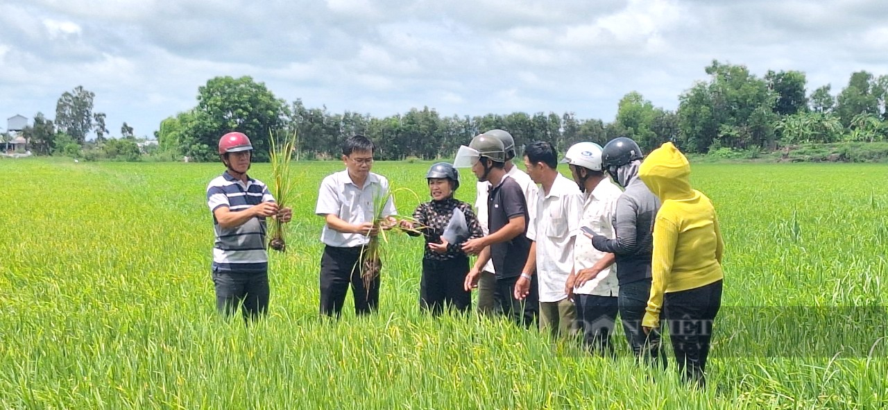 Dạy nghề làm nông nghiệp ứng dụng công nghệ cao có gì hay mà nông dân Long An kéo nhau đi học?- Ảnh 1.