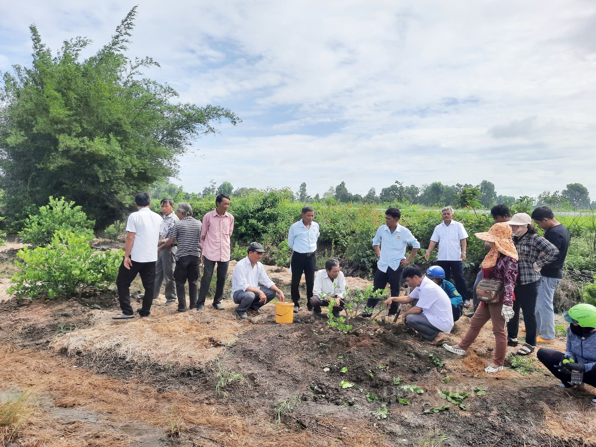 Dạy nghề làm nông nghiệp ứng dụng công nghệ cao có gì hay mà nông dân Long An kéo nhau đi học?- Ảnh 3.