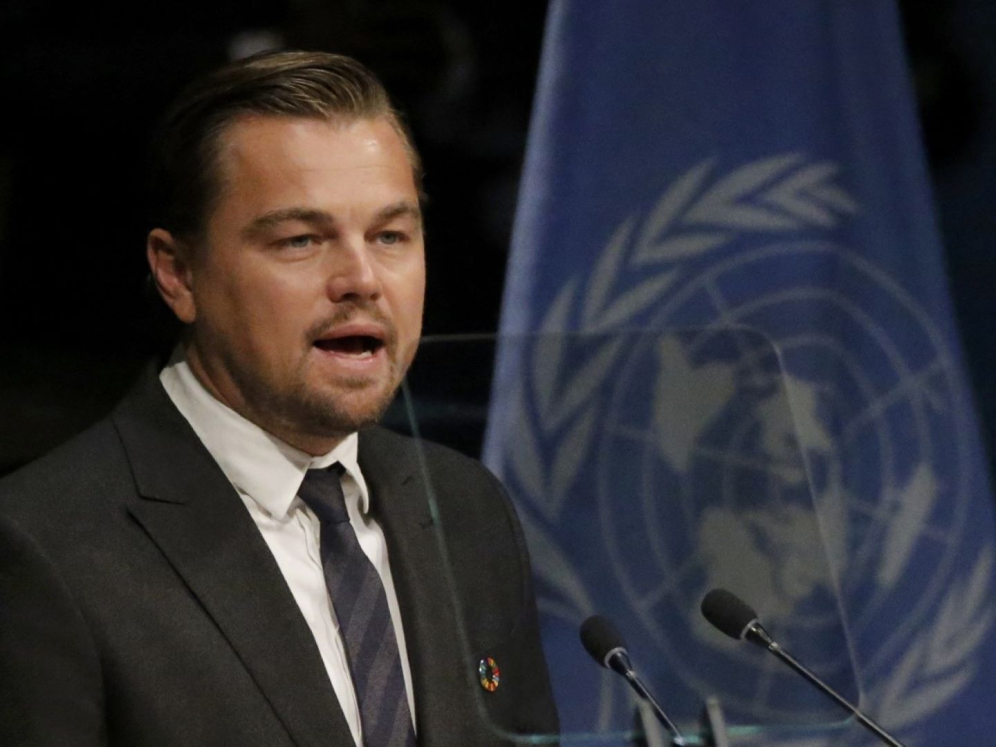 Tài tử "Titanic" Leonardo DiCaprio thua lỗ hàng triệu USD- Ảnh 2.