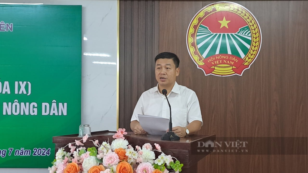 HND tỉnh Thái Nguyên sơ kết công tác hội 6 tháng  đầu 2024- Ảnh 2.
