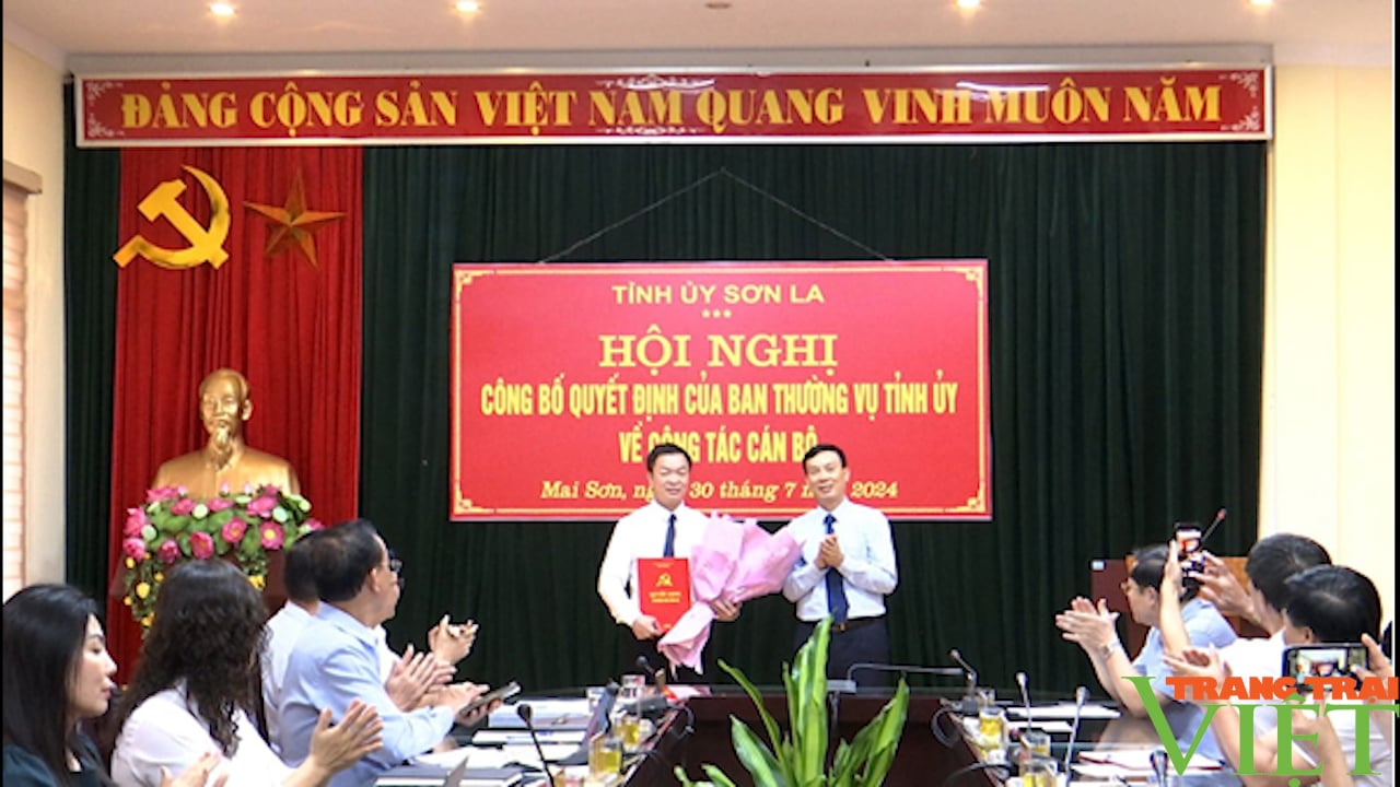 Sơn La: Chỉ định Phó Chánh văn phòng UBND tỉnh giữ chức Phó Bí thư huyện- Ảnh 2. Sơn La: Chỉ định Phó Chánh văn phòng UBND tỉnh giữ chức Phó Bí thư huyện- Ảnh 2.