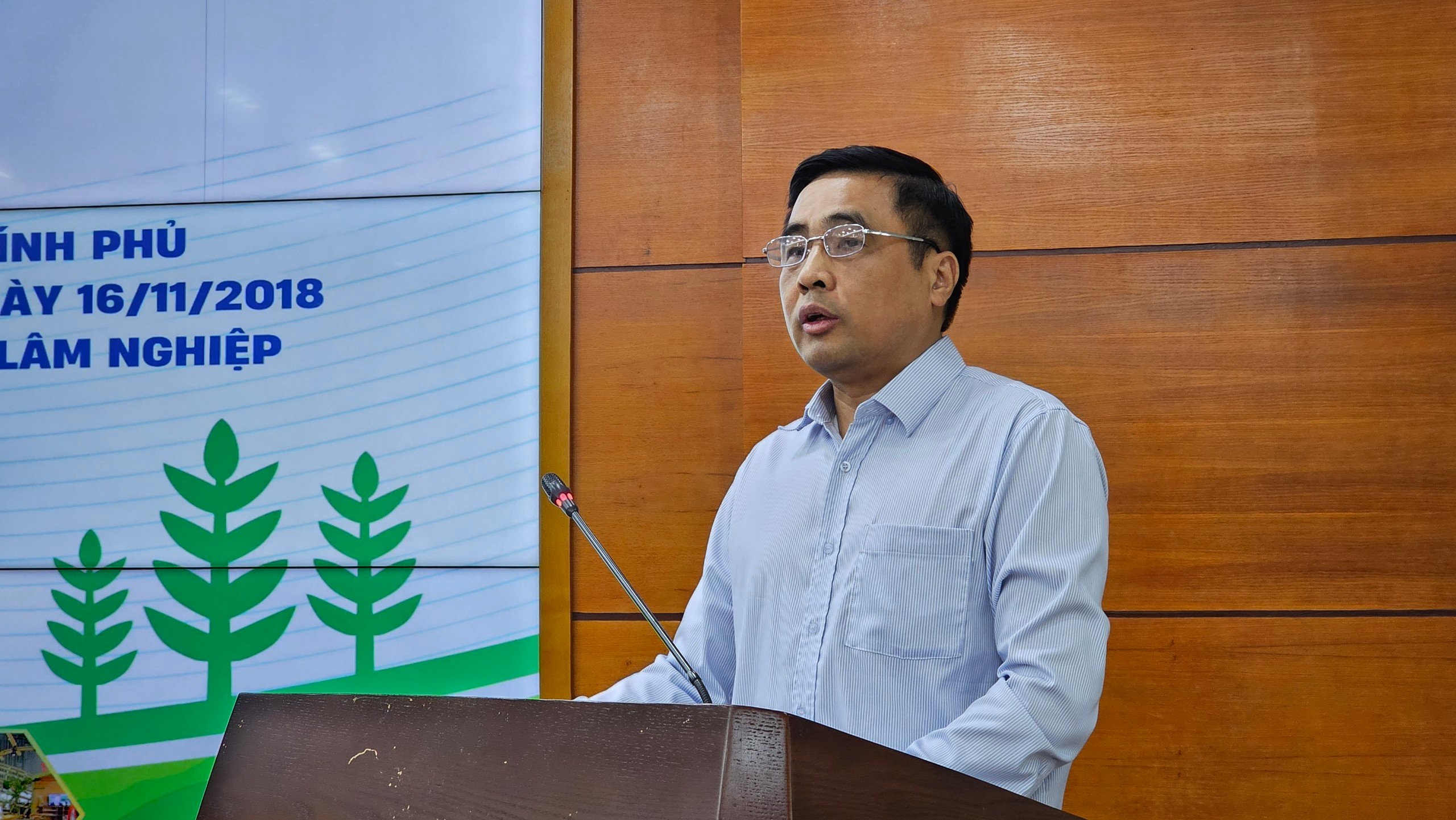 Hội đồng nhân dân cấp tỉnh được quyết chủ trương chuyển mục đích sử dụng rừng- Ảnh 2.