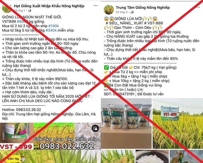 Bắt nhóm đối tượng lừa bán giống lúa không có thật ở Thái Bình- Ảnh 1.
