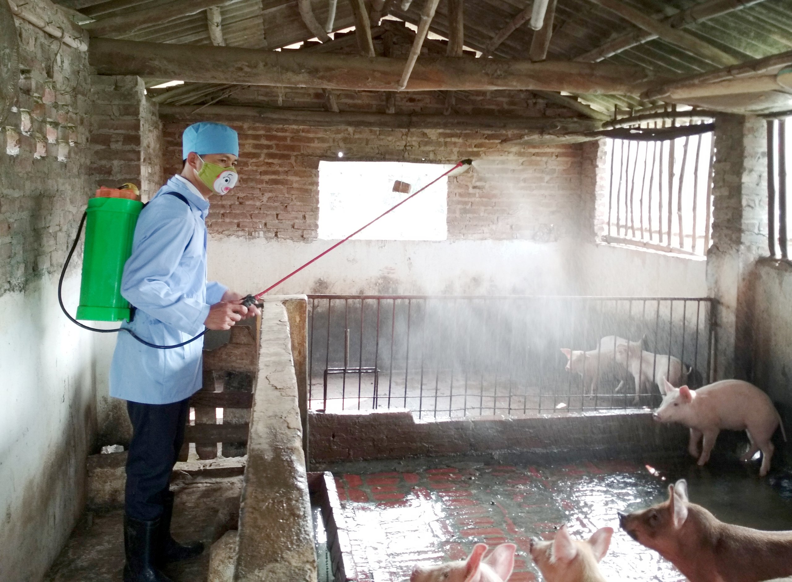 Giải pháp sát trùng chuồng trại chăn nuôi an toàn, hiệu quả, nhiều trang trại tin dùng- Ảnh 1.