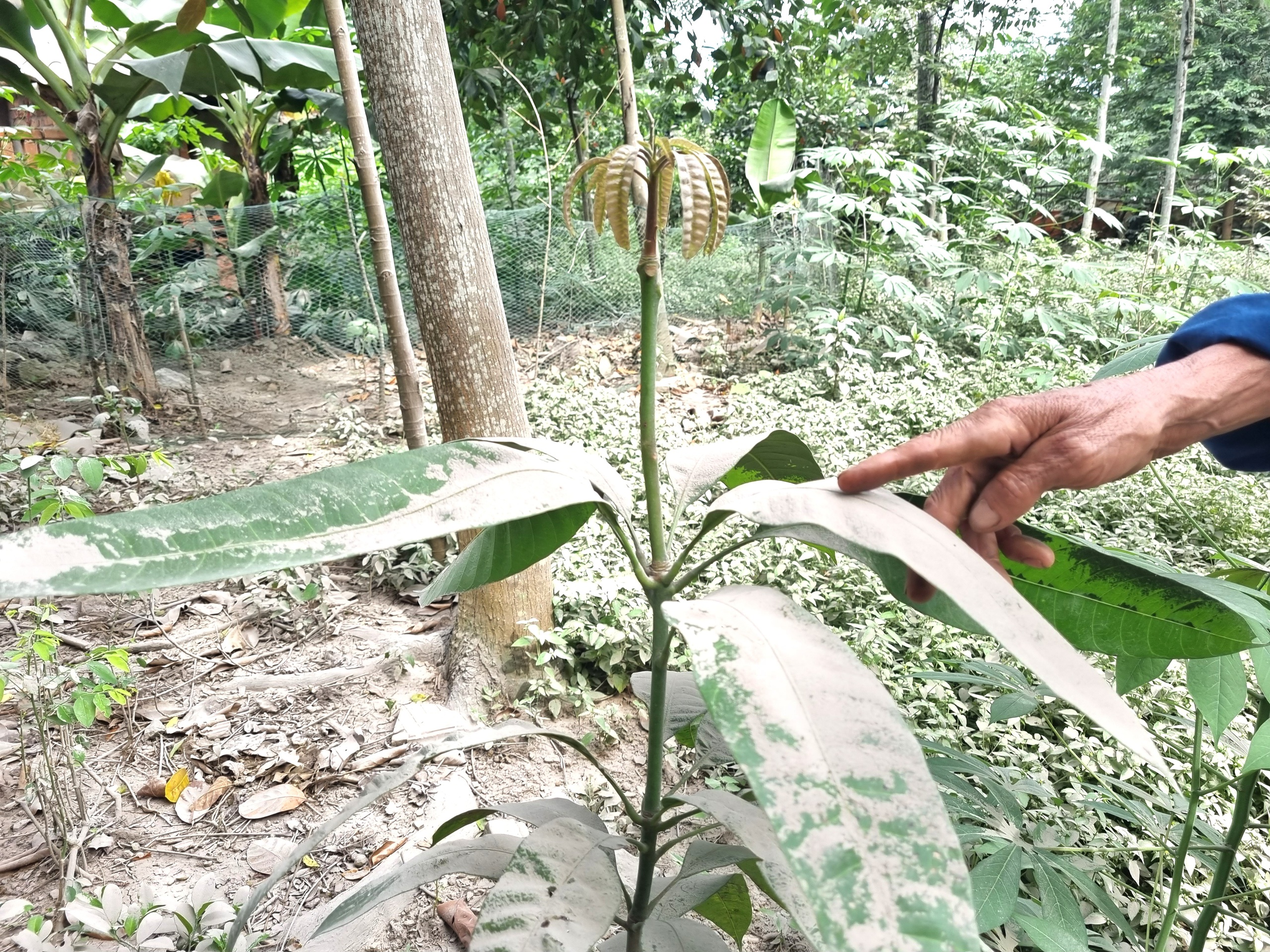 Vụ nổ mìn khai thác đá ảnh hưởng tới người dân ở Ninh Bình: Huyện Nho Quan đã vào cuộc kiểm tra- Ảnh 5.