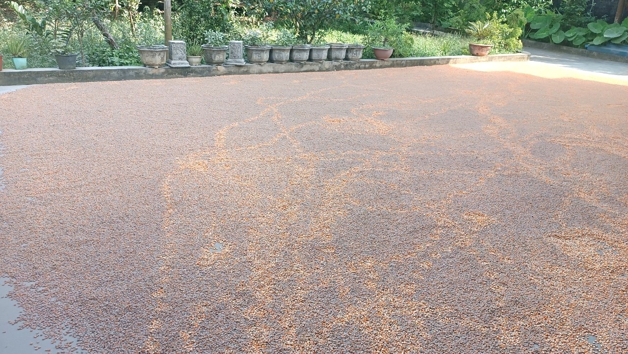 Vụ nổ mìn khai thác đá ảnh hưởng tới người dân ở Ninh Bình: Huyện Nho Quan đã vào cuộc kiểm tra- Ảnh 3.