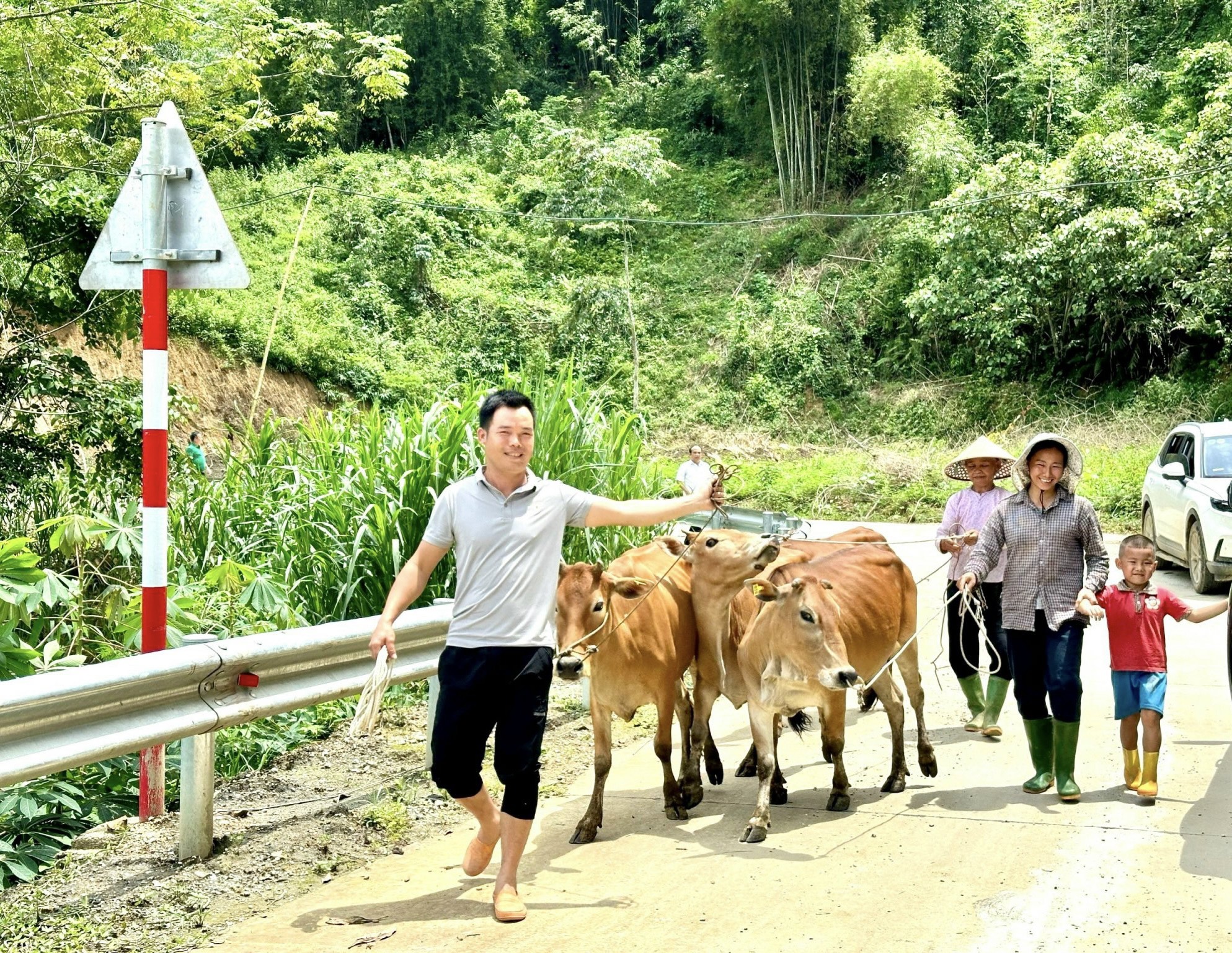 TƯ Hội NDVN hỗ trợ 120 con bò giống H'Mông cho nông dân huyện Chiêm Hóa, tỉnh Tuyên Quang- Ảnh 3.