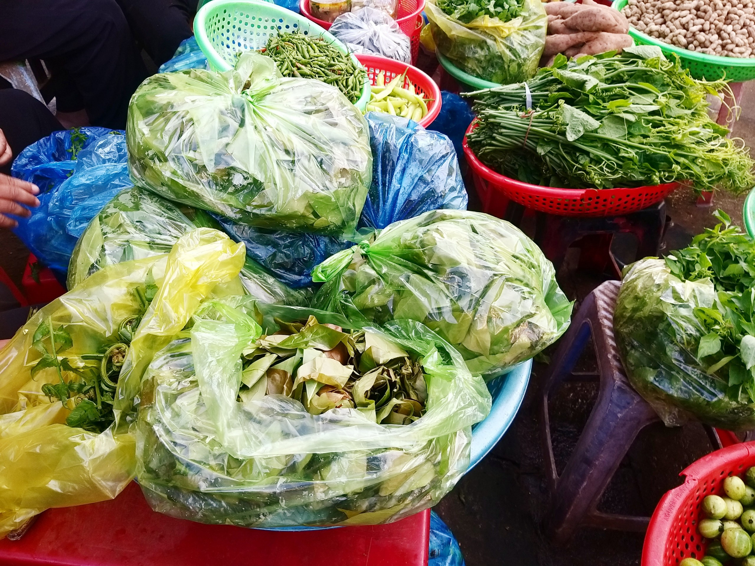 Lá bép, lá nhíp ở Đắk Lắk, loại rau rừng xưa ăn chống đói, nay hóa ra đặc sản, người ta săn lùng- Ảnh 2.