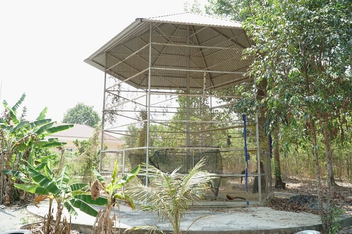 La liệt con động vật hoang dã có tên trong sách Đỏ đang nuôi ở Vườn quốc gia nổi tiếng Tây Ninh- Ảnh 13.