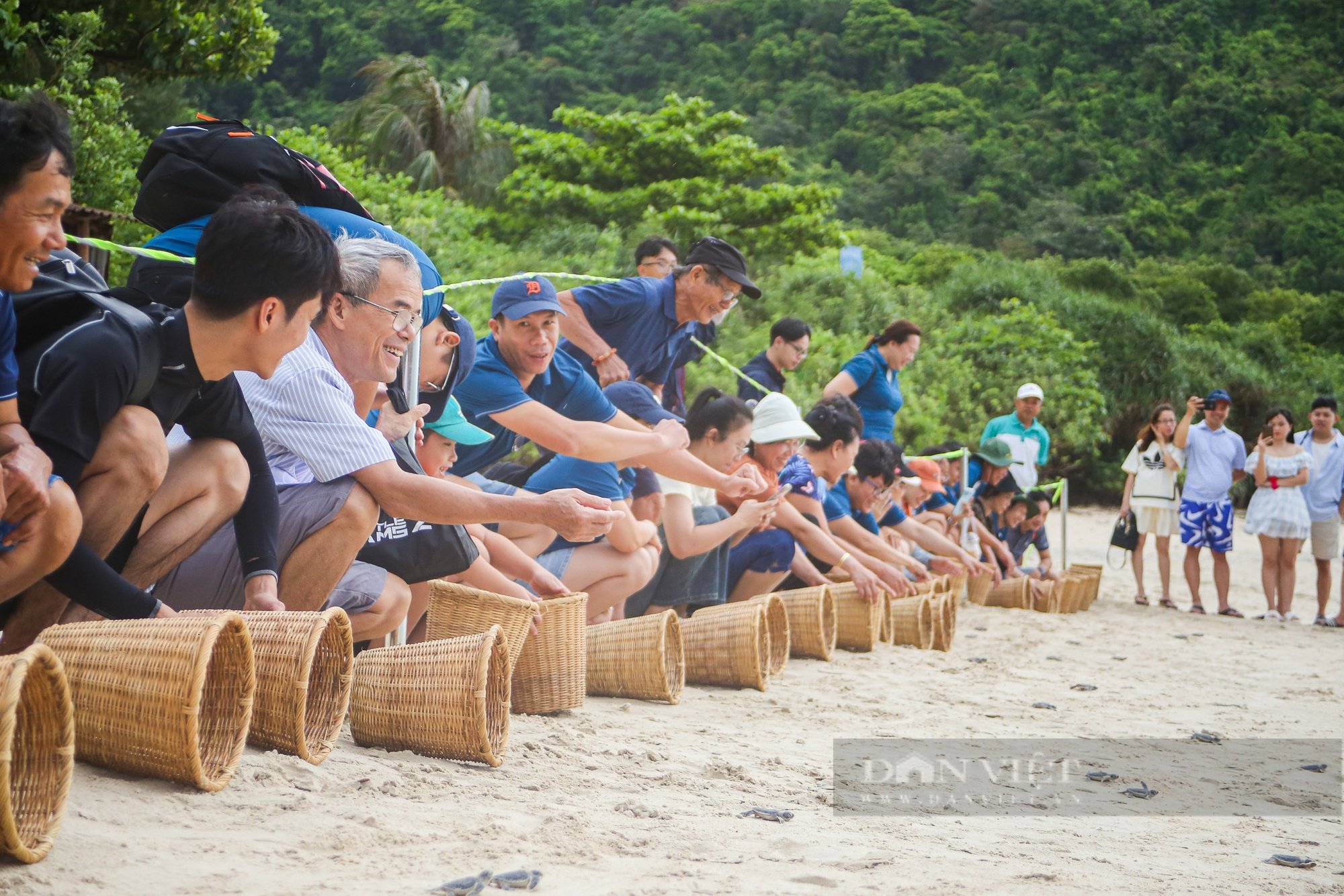 Du lịch Côn Đảo: Tối xem rùa đẻ, sáng thả rùa con về biển - Ảnh 6.