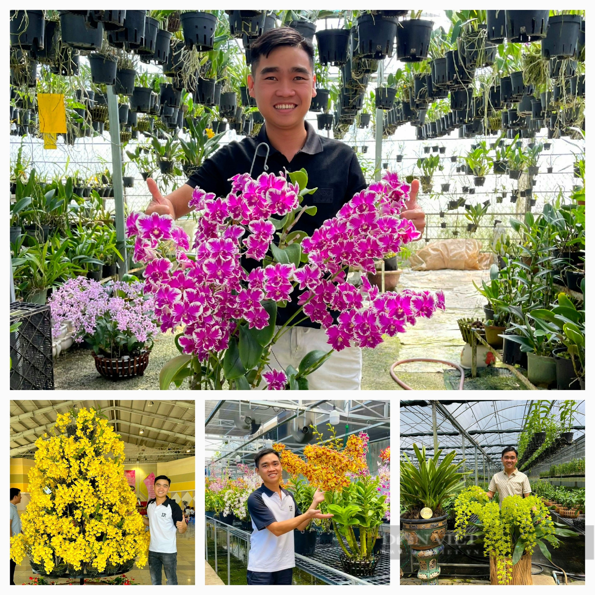 9X Lâm Đồng lãi 2 tỷ/năm nhờ bán hoa lan đột biến, tham vọng làm khu bảo tồn lan rừng quý hiếm- Ảnh 1.