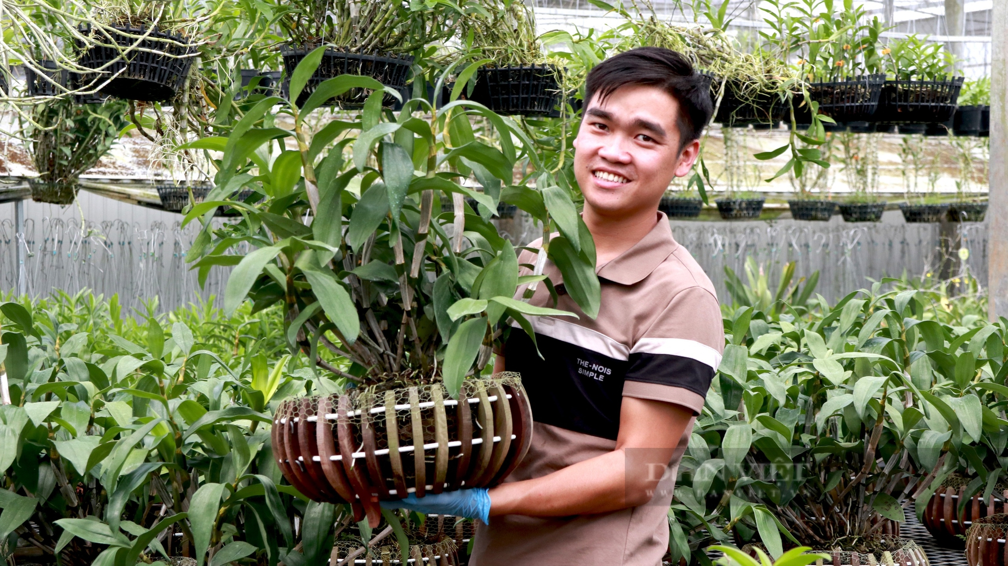 9X Lâm Đồng lãi 2 tỷ/năm nhờ bán hoa lan đột biến, tham vọng làm khu bảo tồn lan rừng quý hiếm- Ảnh 4.
