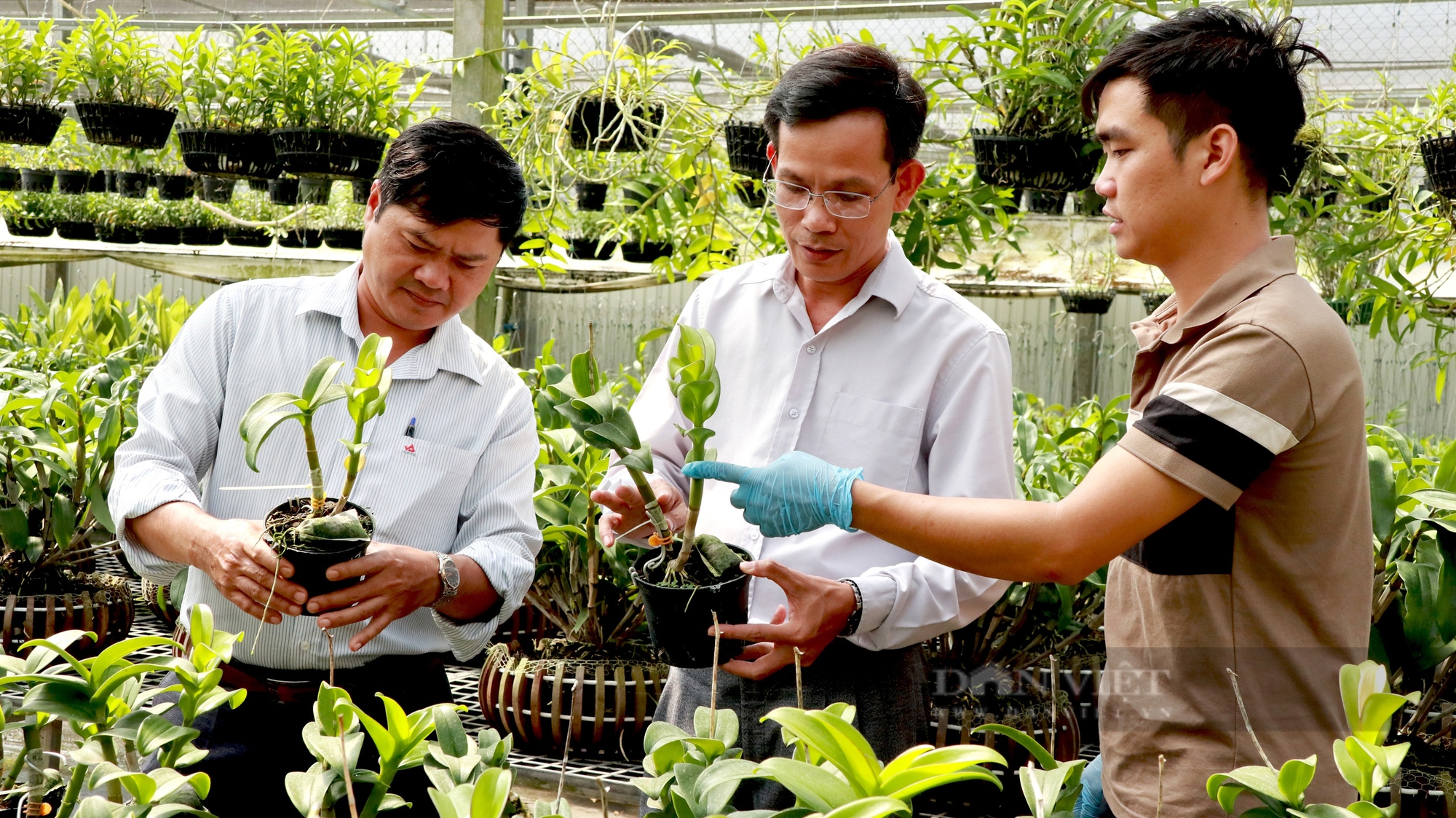 9X Lâm Đồng lãi 2 tỷ/năm nhờ bán hoa lan đột biến, tham vọng làm khu bảo tồn lan rừng quý hiếm- Ảnh 5.