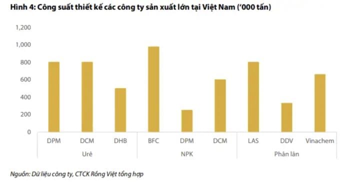 Thị phần NPK bão hòa: Doanh nghiệp phân bón tìm đường mở rộng- Ảnh 3.