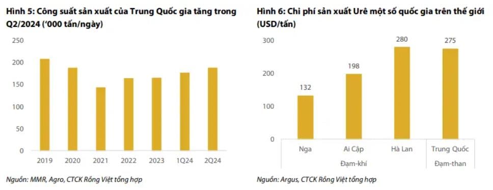 Thị phần NPK bão hòa: Doanh nghiệp phân bón tìm đường mở rộng- Ảnh 4.