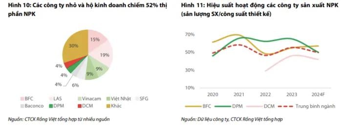 Thị phần NPK bão hòa: Doanh nghiệp phân bón tìm đường mở rộng- Ảnh 6.