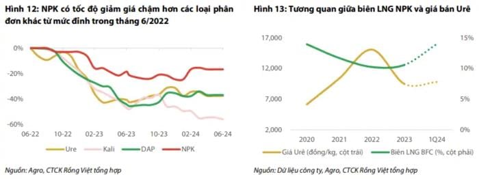Thị phần NPK bão hòa: Doanh nghiệp phân bón tìm đường mở rộng- Ảnh 7.