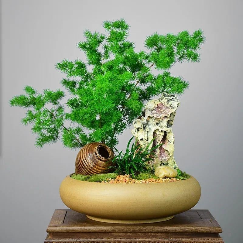 Người xưa nói: "Nhà có ngũ phúc, càng sống lâu càng thoải mái, tài phú đủ cả"- Ảnh 8.