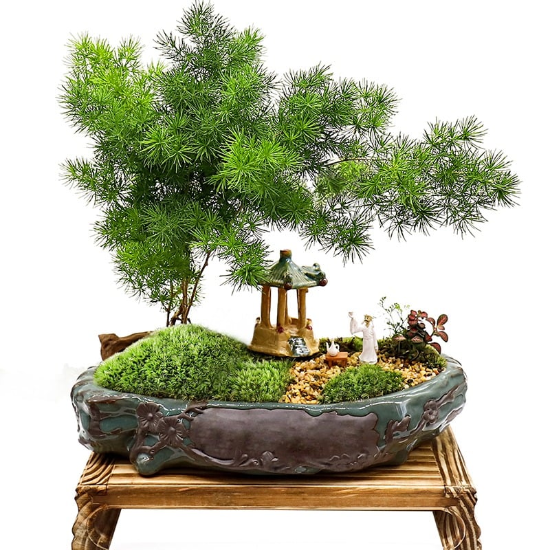 Người xưa nói: "Nhà có ngũ phúc, càng sống lâu càng thoải mái, tài phú đủ cả"- Ảnh 9.