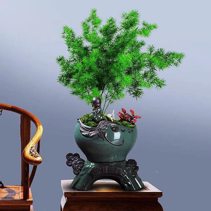 Người xưa nói: "Nhà có ngũ phúc, càng sống lâu càng thoải mái, tài phú đủ cả"- Ảnh 7.